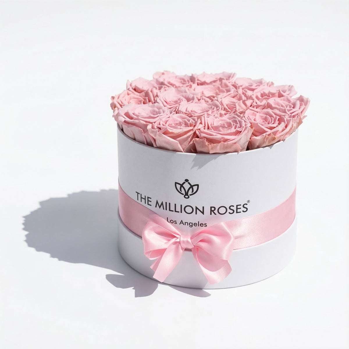 Pink Preserved Roses in Classic White Gift Box