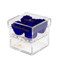 Blue Preserved Roses in Acrylic Square Jewelry Box – Style 8