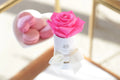 Single Preserved Rose in Round Gift Box