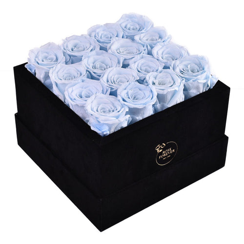 16 Blue Preserved Roses in Black Velvet Square Gift Box