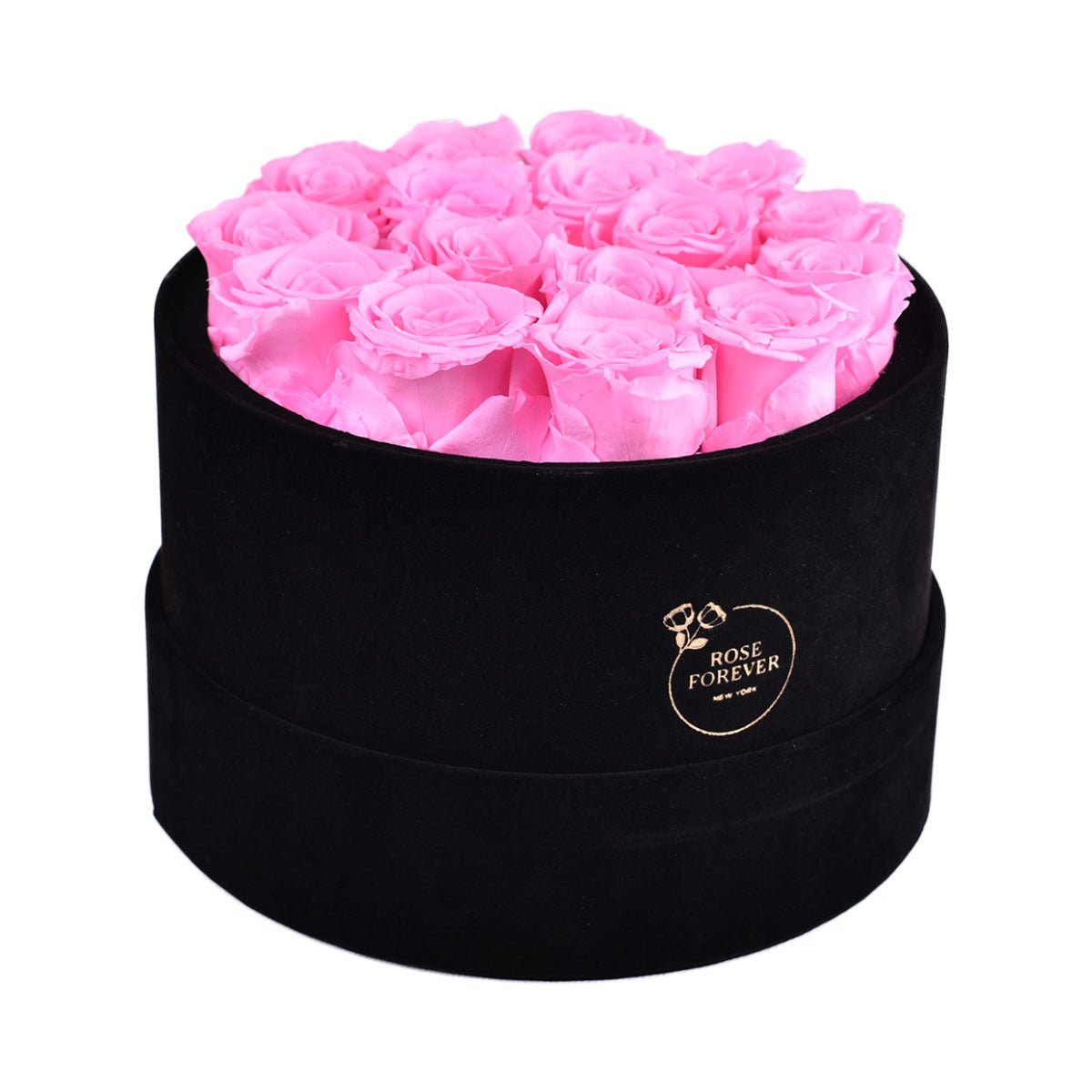 16 Fuchsia Preserved Roses in Velvet Round Gift Box