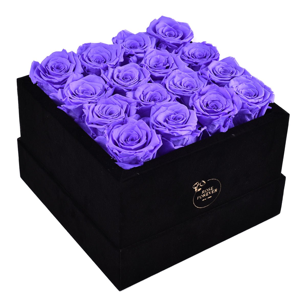 16 Lavender Preserved Roses in Velvet Square Gift Box