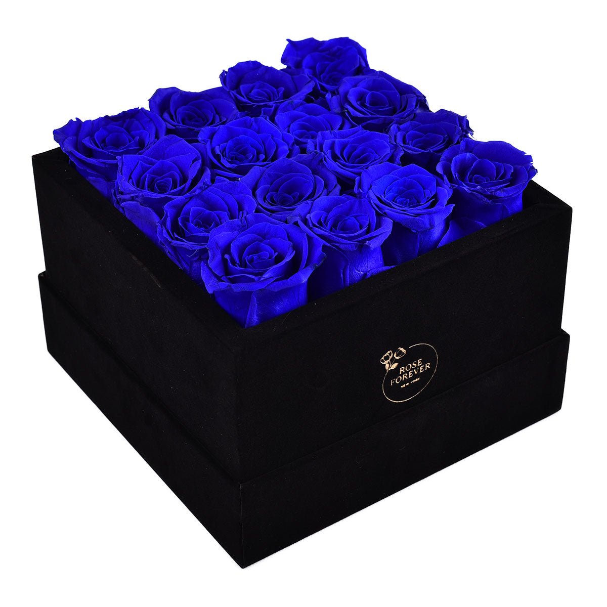 16 Royal Blue Preserved Roses in Black Velvet Square Gift Box