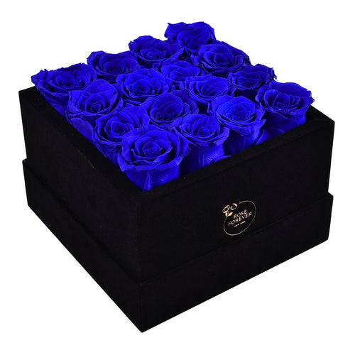 16 Royal Blue Preserved Roses in Black Velvet Square Gift Box