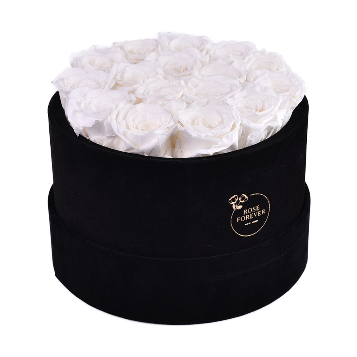 16 White Preserved Roses in Velvet Round Gift Box