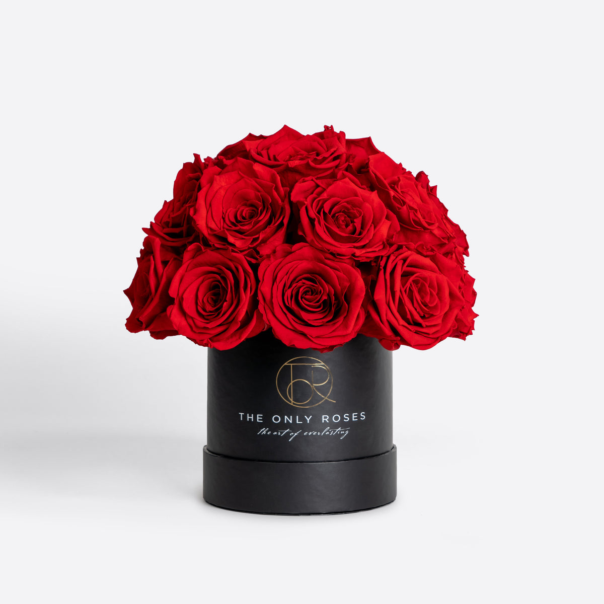 Small Black Preserved Roses in Dome Box