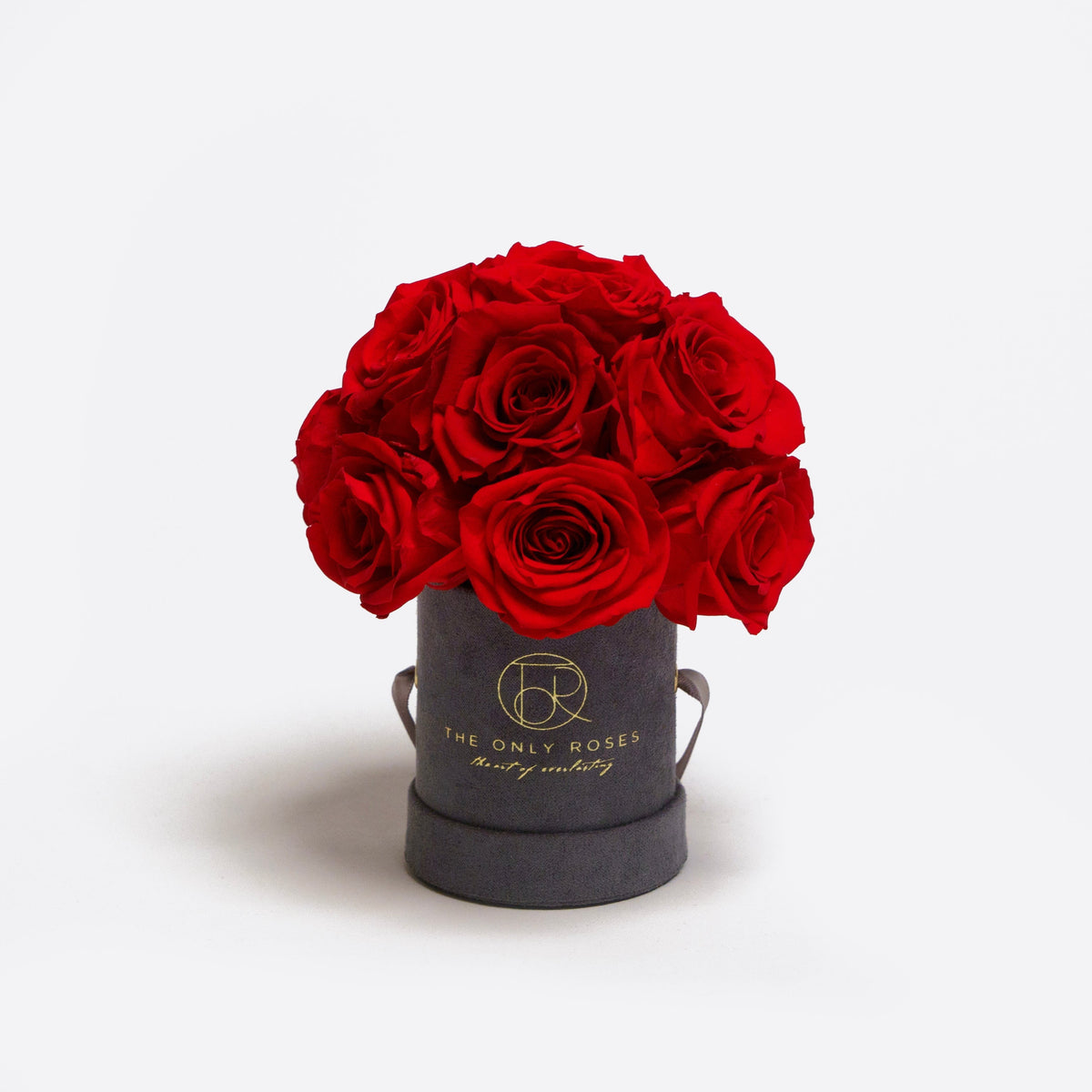 Mini Gray Preserved Roses in Suede Round Gift Box