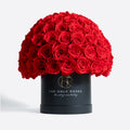 Medium Black Preserved Roses in Dome Box