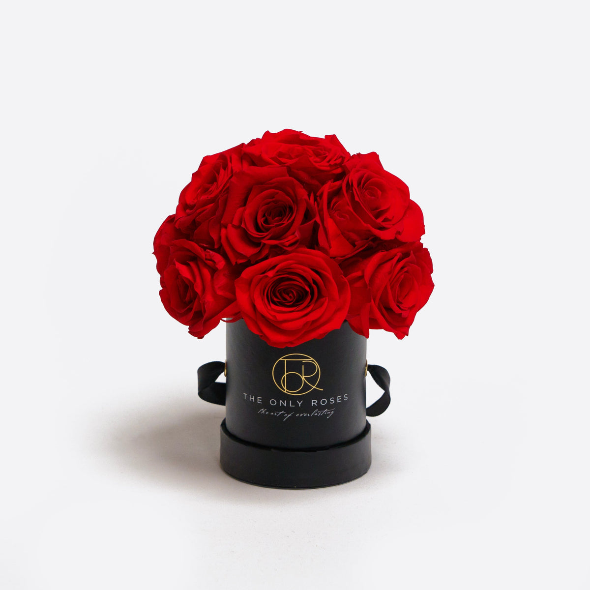 Mini Black Preserved Roses in Round Gift Box