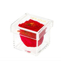Single Mini Preserved Rose in Acrylic Gift Box – Style 3