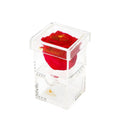 Single Mini Preserved Rose in Acrylic Jewelry Box