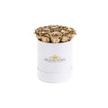 Mini 24K Gold Preserved Roses in Petite Round Gift Box