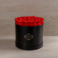 24 Black Preserved Roses in Leather Gift Box