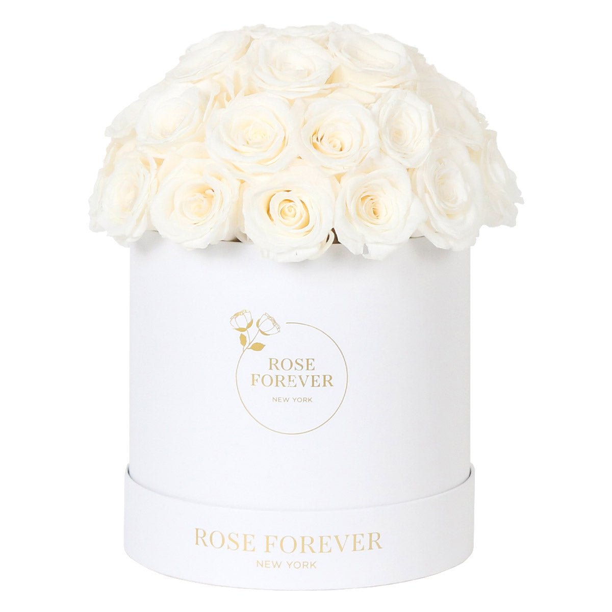 35 White Preserved Roses in Dome Box