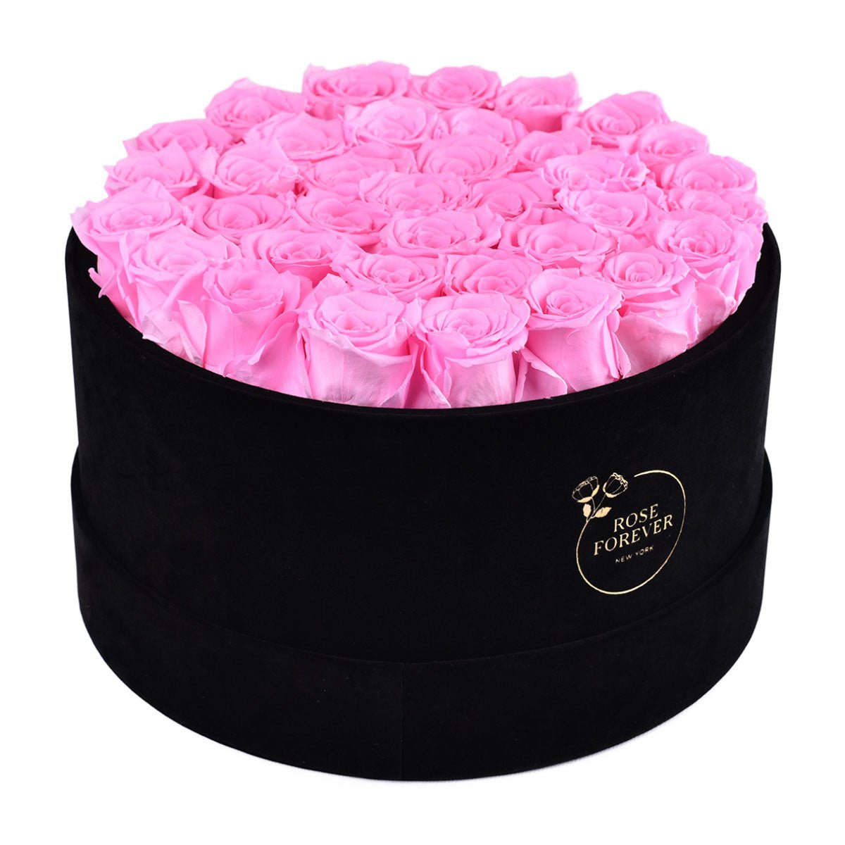 36 Fuchsia Preserved Roses in Velvet Round Gift Box
