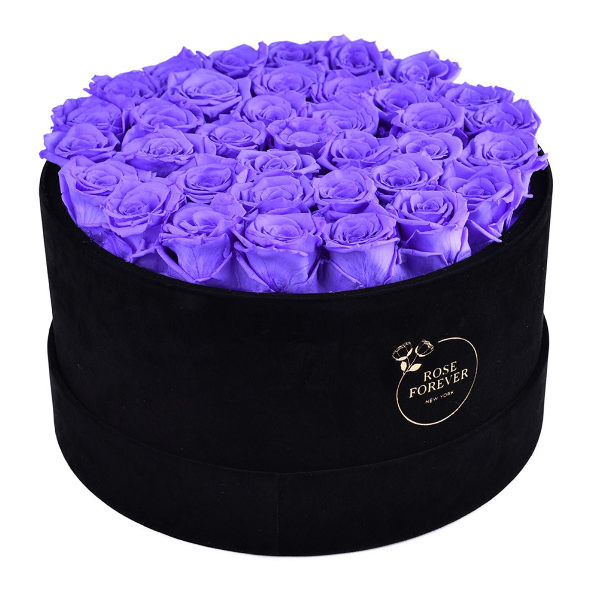 36 Lavender Preserved Roses in Velvet Round Gift Box