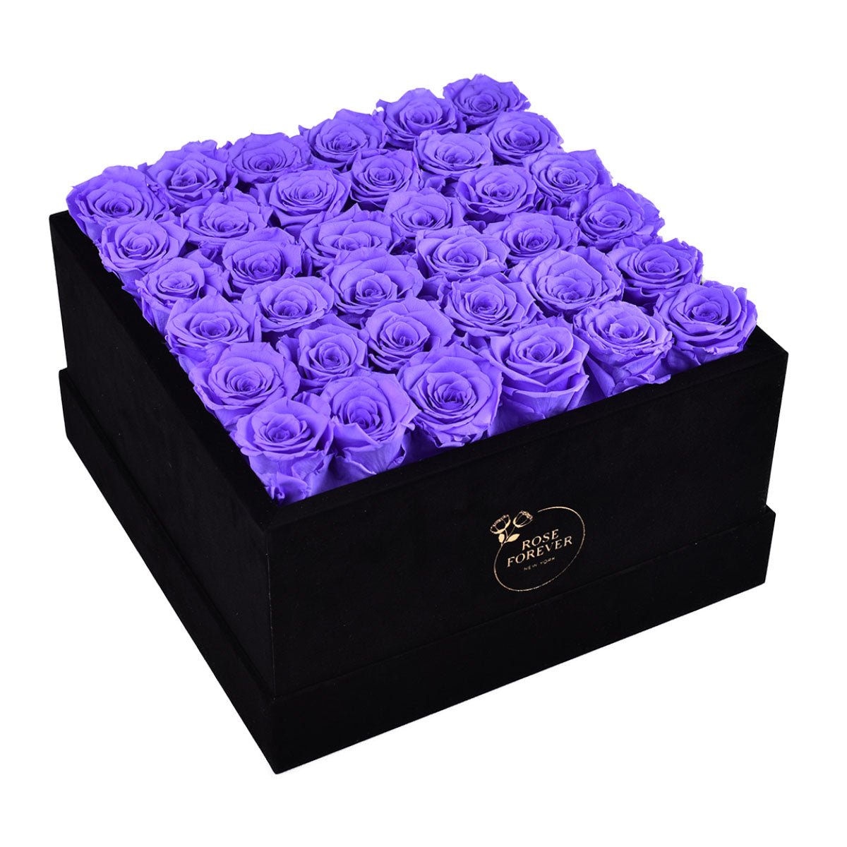36 Lavender Preserved Roses in Velvet Square Gift Box