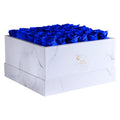 36 Blue & White Preserved Roses in Marble Square Gift Box