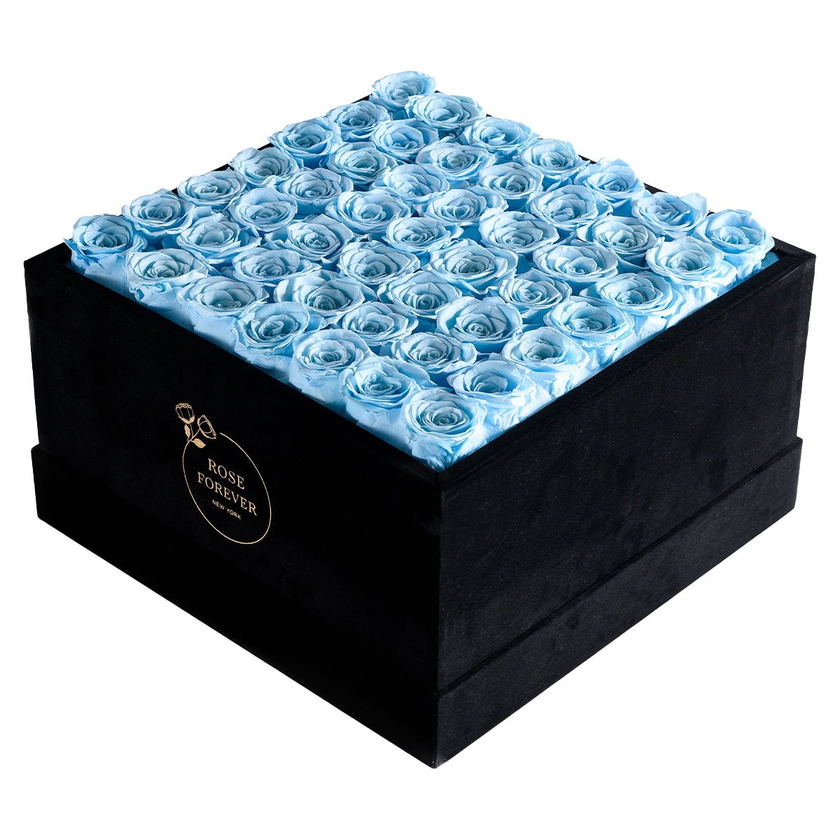 49 Blue Preserved Roses in Velvet Square Gift Box