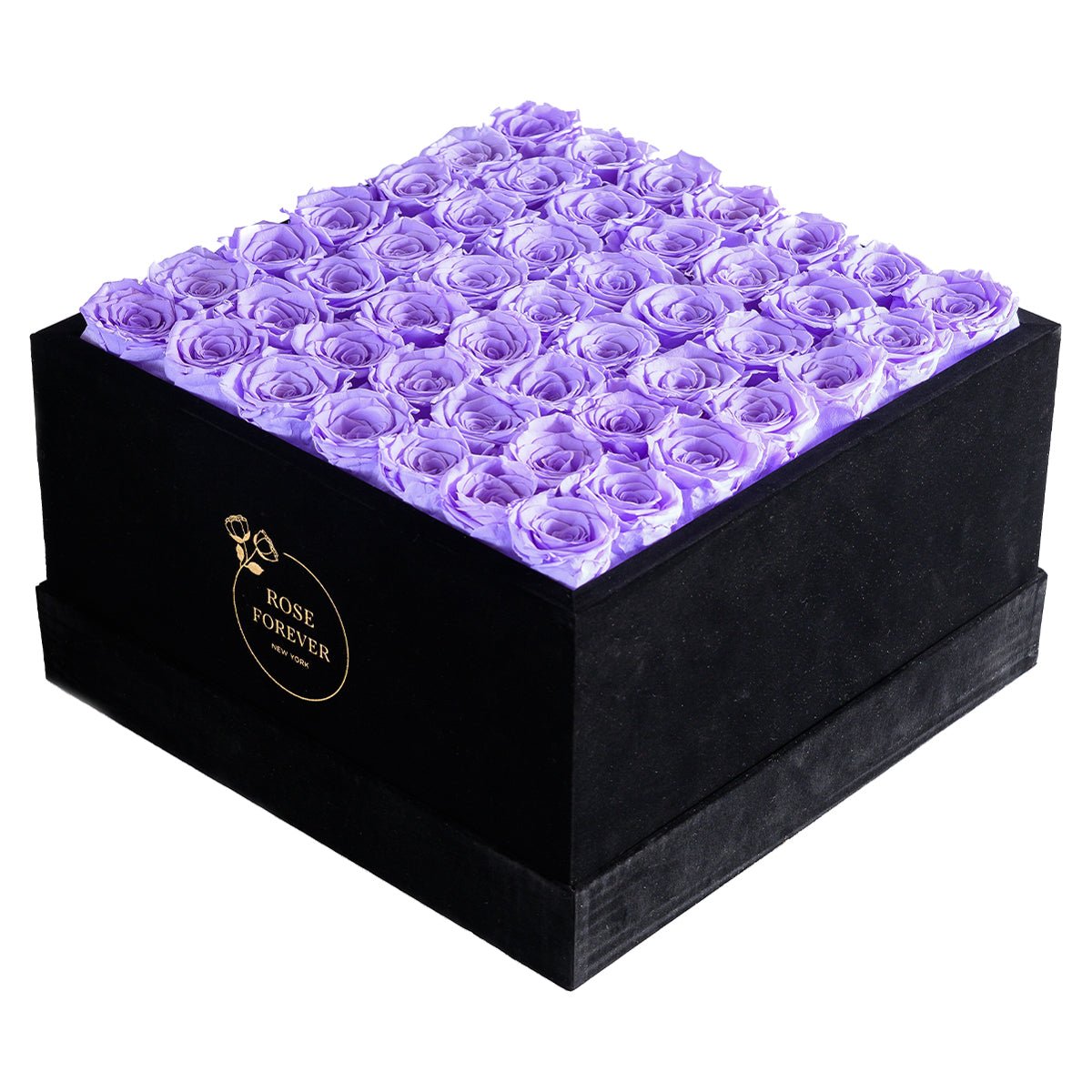 49 Lavender Preserved Roses in Velvet Square Gift Box