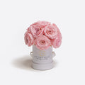 Mini White Preserved Roses in Round Gift Box