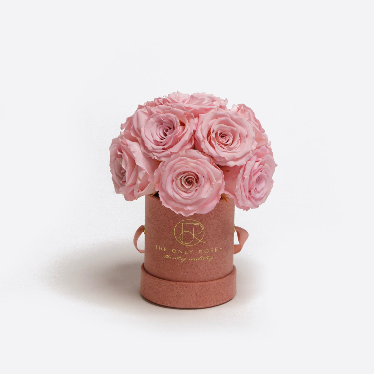 Mini Pink Preserved Roses in Suede Round Gift Box