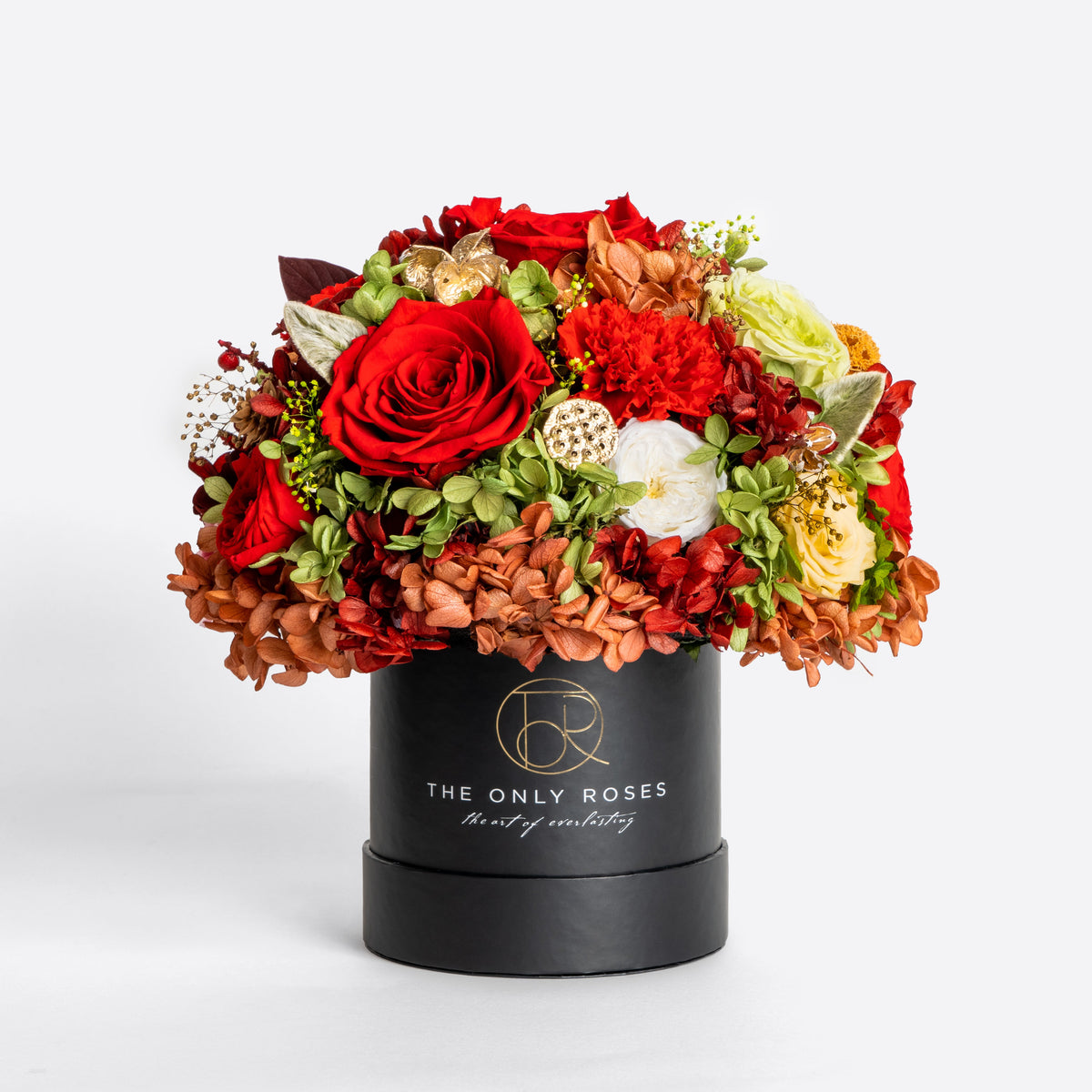 Small Black Dried Mixed Flowers in Dome Box