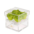 Green Preserved Roses in Acrylic Square Jewelry Box – Style 2