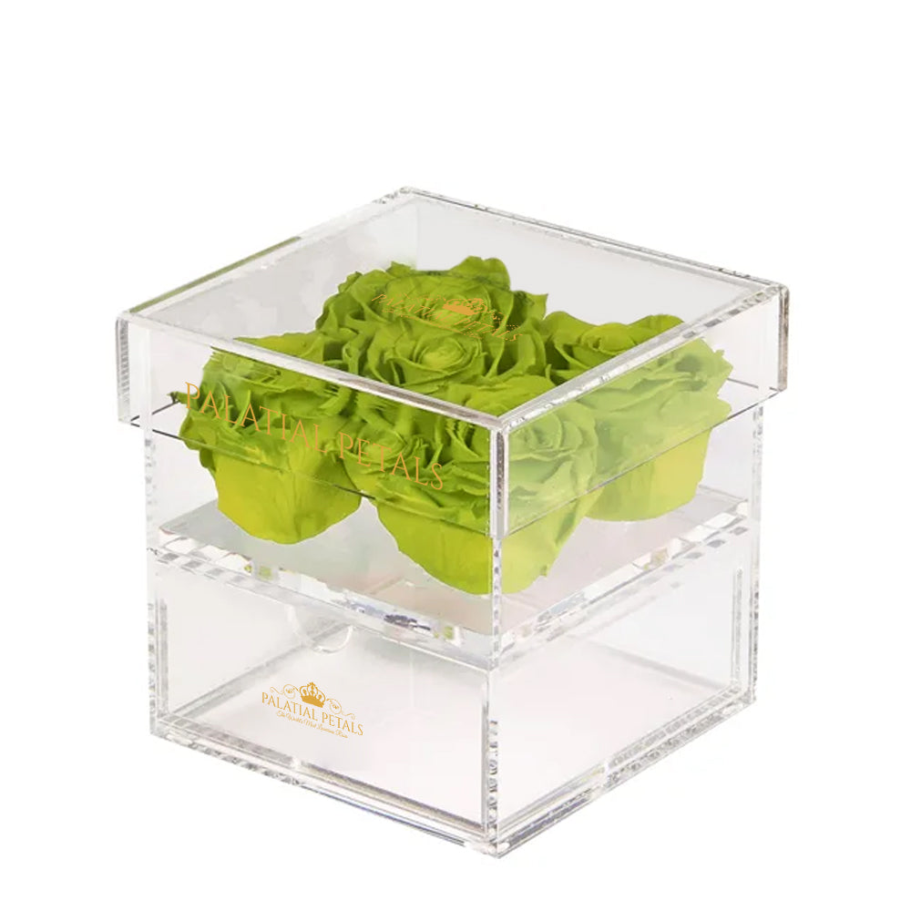 Green Preserved Roses in Acrylic Square Jewelry Box – Style 2