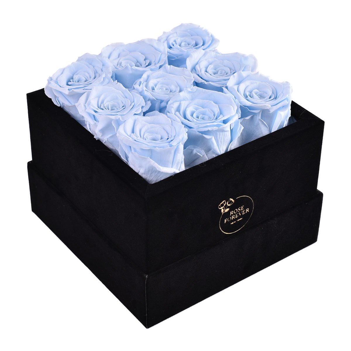 9 Blue Preserved Roses in Black Velvet Square Gift Box