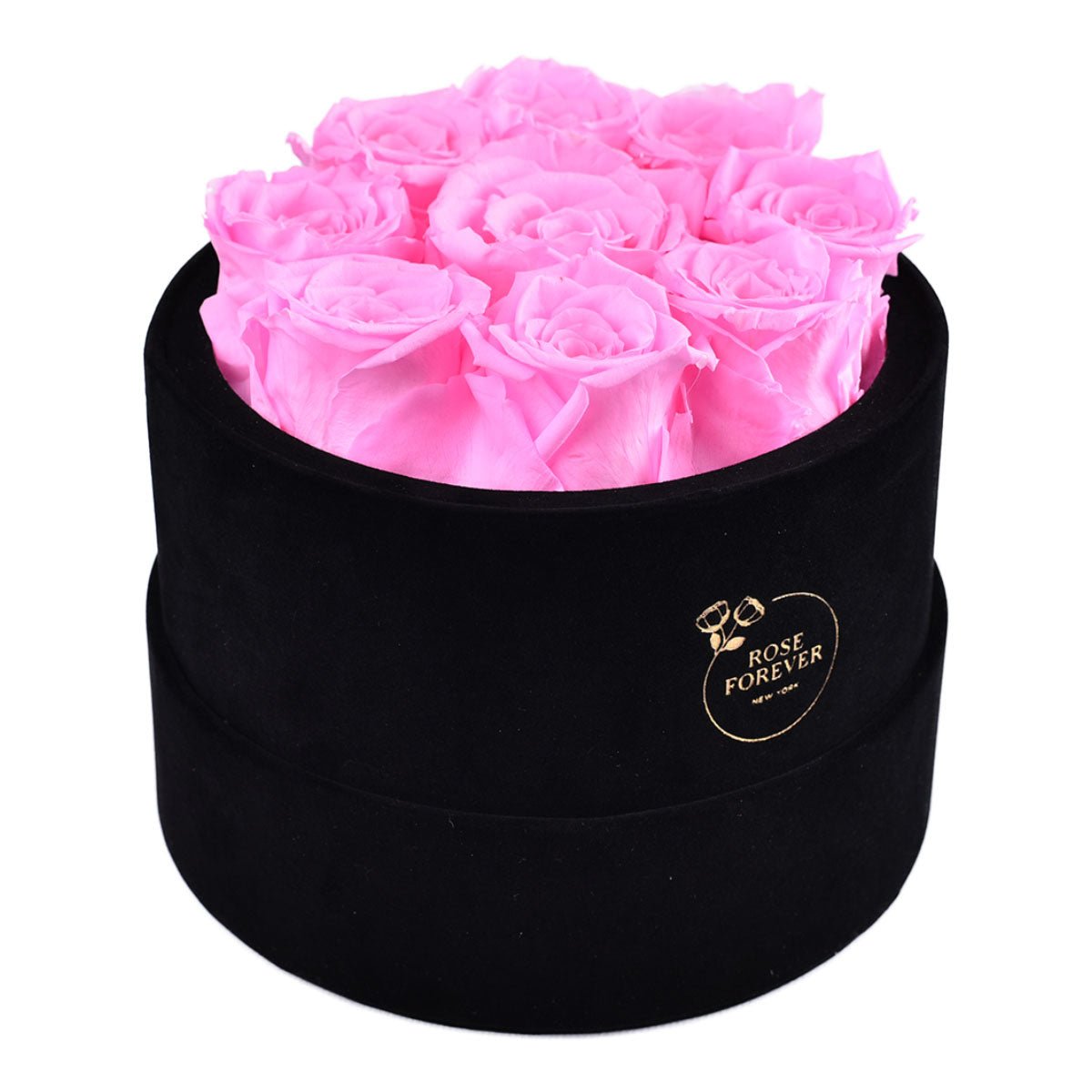 9 Fuchsia Preserved Roses in Velvet Round Gift Box