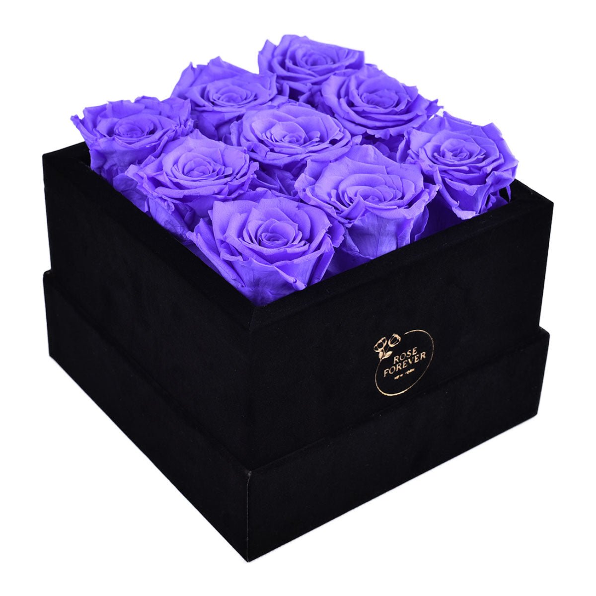 9 Lavender Preserved Roses in Velvet Square Gift Box