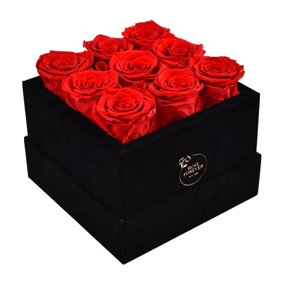 9 Red Preserved Roses in Velvet Square Gift Box