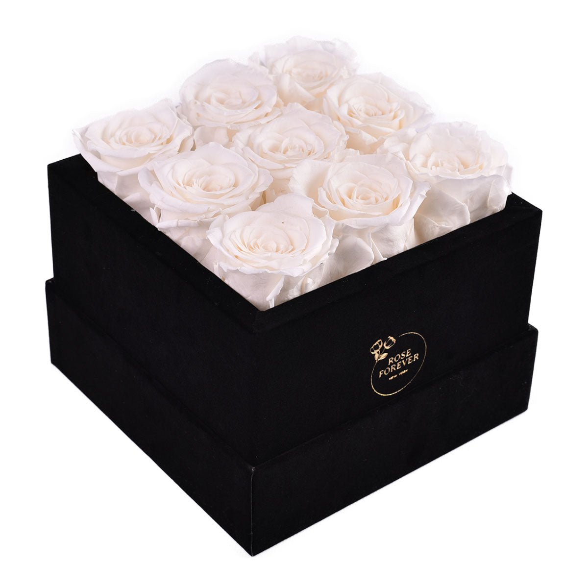 9 White Preserved Roses in Velvet Square Gift Box