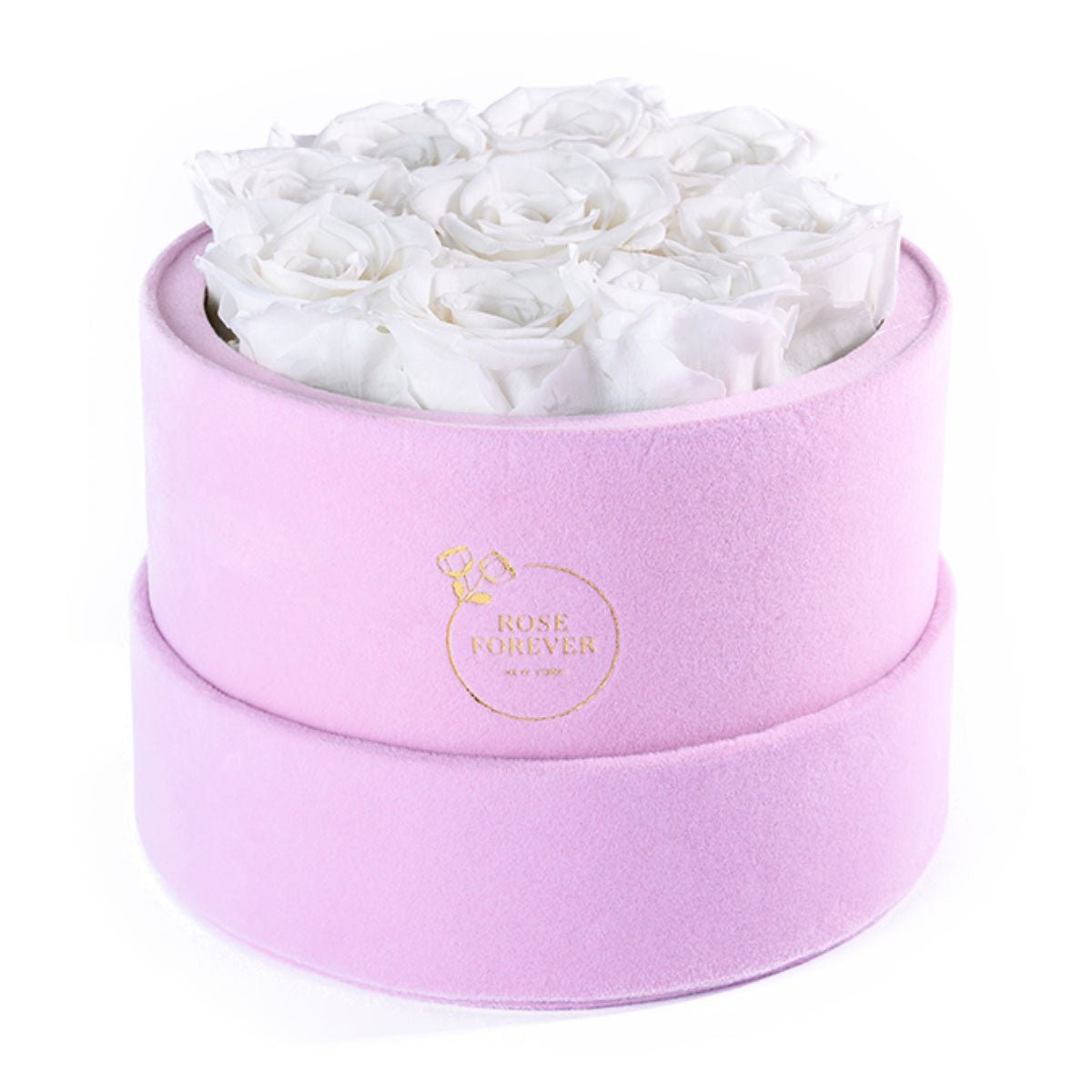 9 White Preserved Roses in Suede Round Gift Box