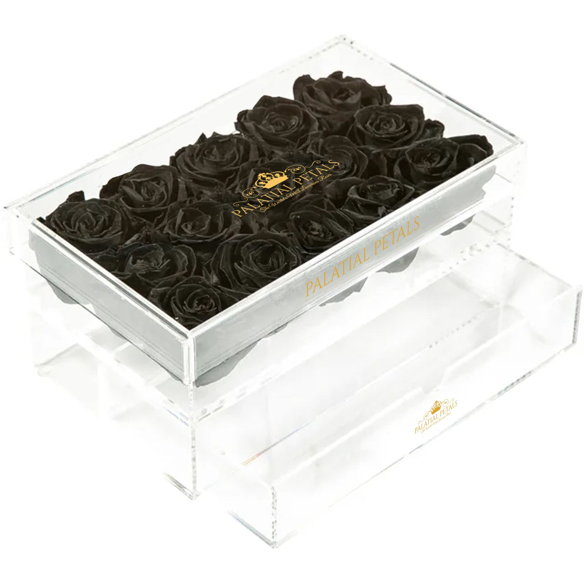 Black Preserved Roses in Acrylic Square Jewelry Box – Style 3