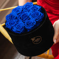 9 Royal Blue Preserved Roses in Black Velvet Round Gift Box