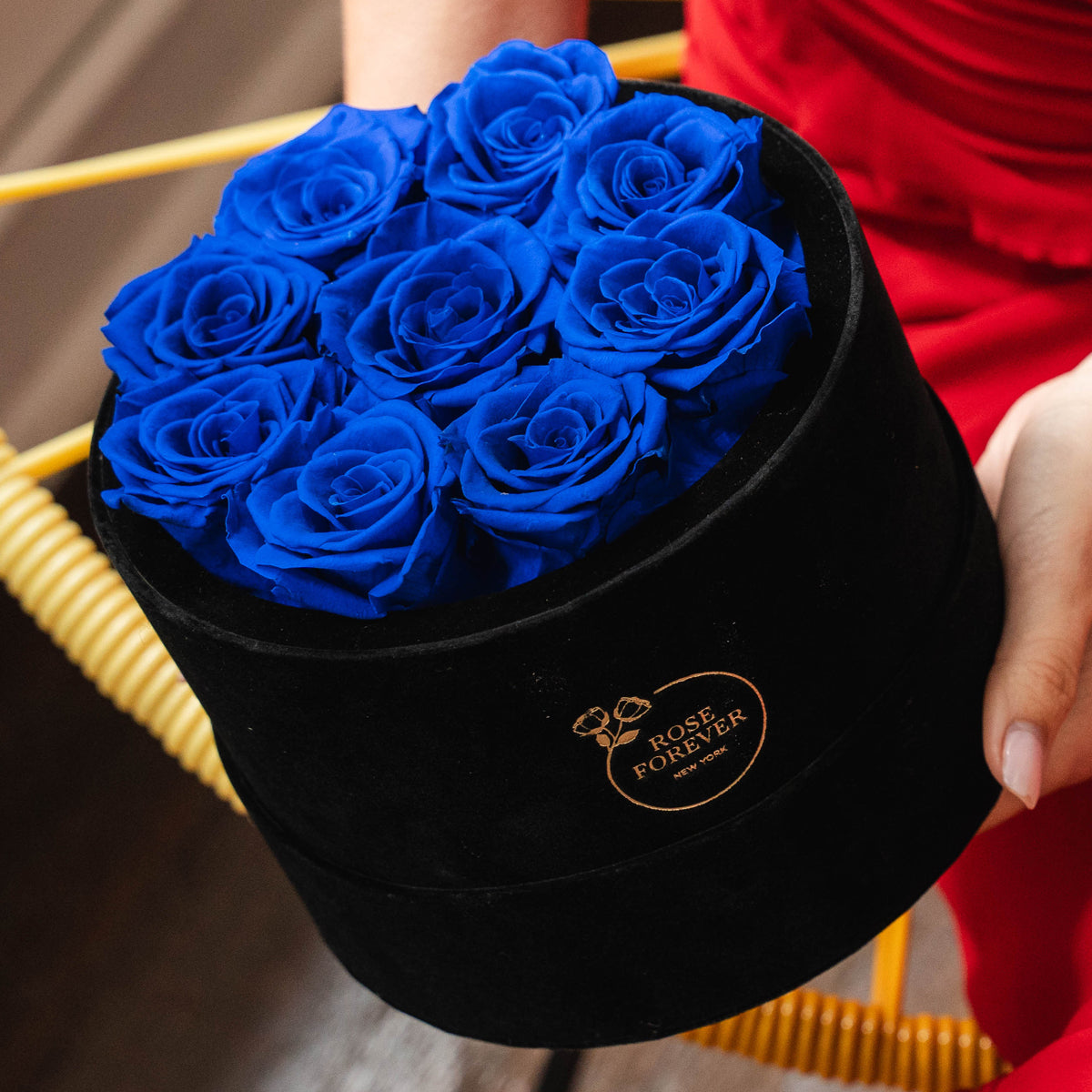9 Royal Blue Preserved Roses in Black Velvet Round Gift Box
