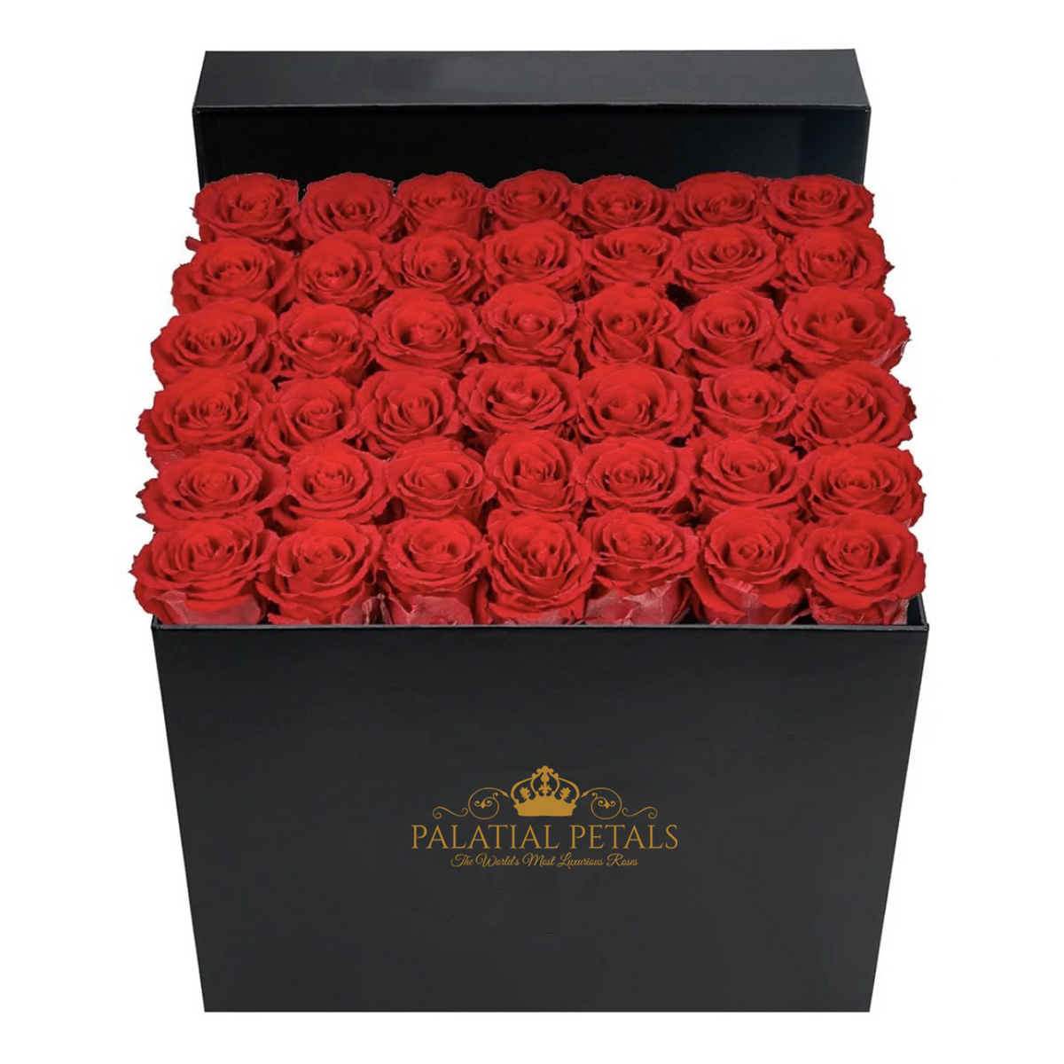 40 Preserved Roses in Square Gift Box