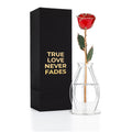 Gold Trim Dipped Real Rose Gift Box – "True Love Never Fades"