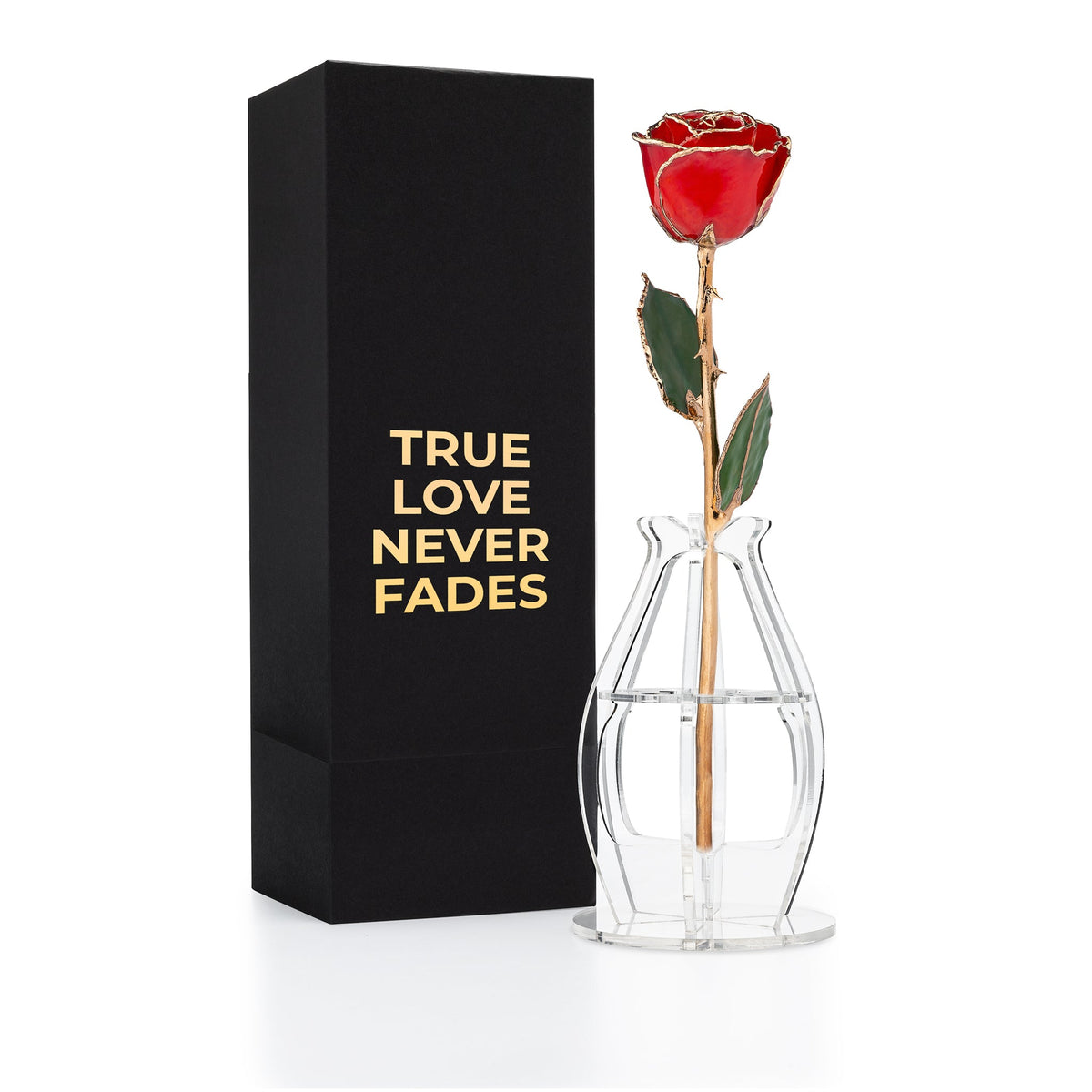 Gold Trim Dipped Real Rose Gift Box – "True Love Never Fades"