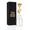 High Detail 24K Gold Dipped Real Rose Gift Box – "True Love Never Fades"