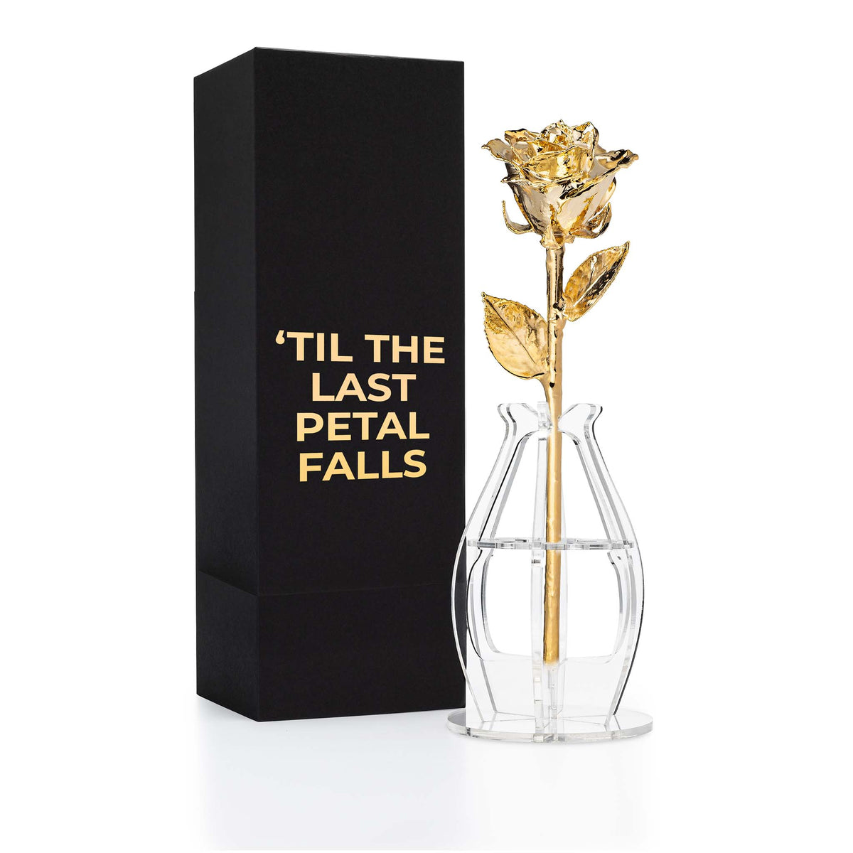 24K Gold Dipped Real Rose Gift Box – "Til The Last Petal Falls"