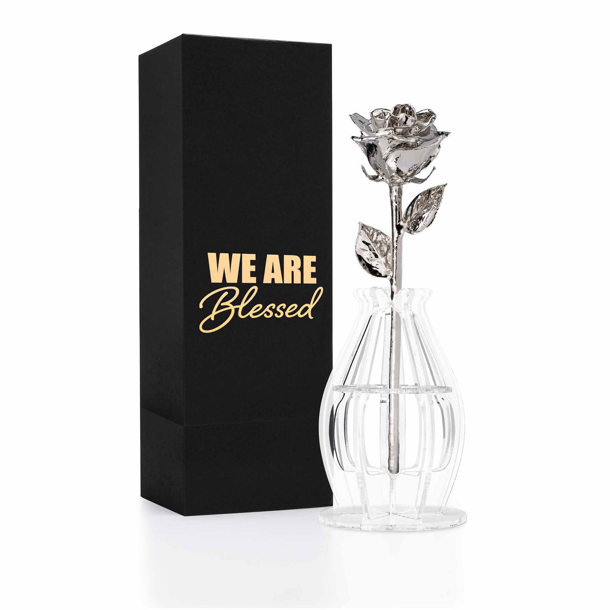 Platinum Dipped Real Rose Gift Box – "We Are Blessed"