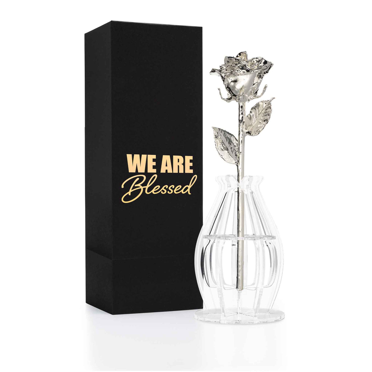Silver Dipped Real Rose Gift Box – "We Are Blessed"