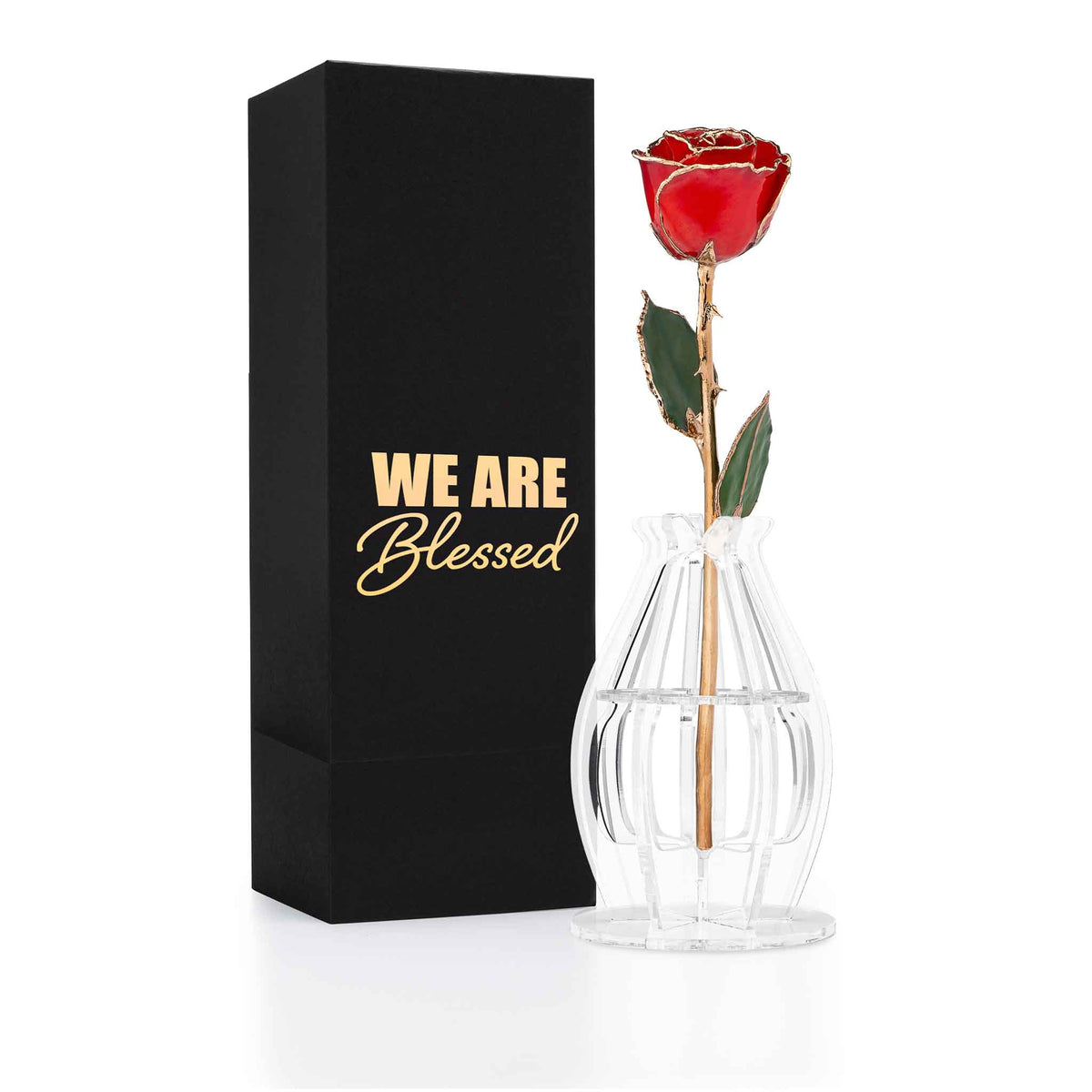 Gold Trim Dipped Real Rose Gift Box – "We Are Blessed"