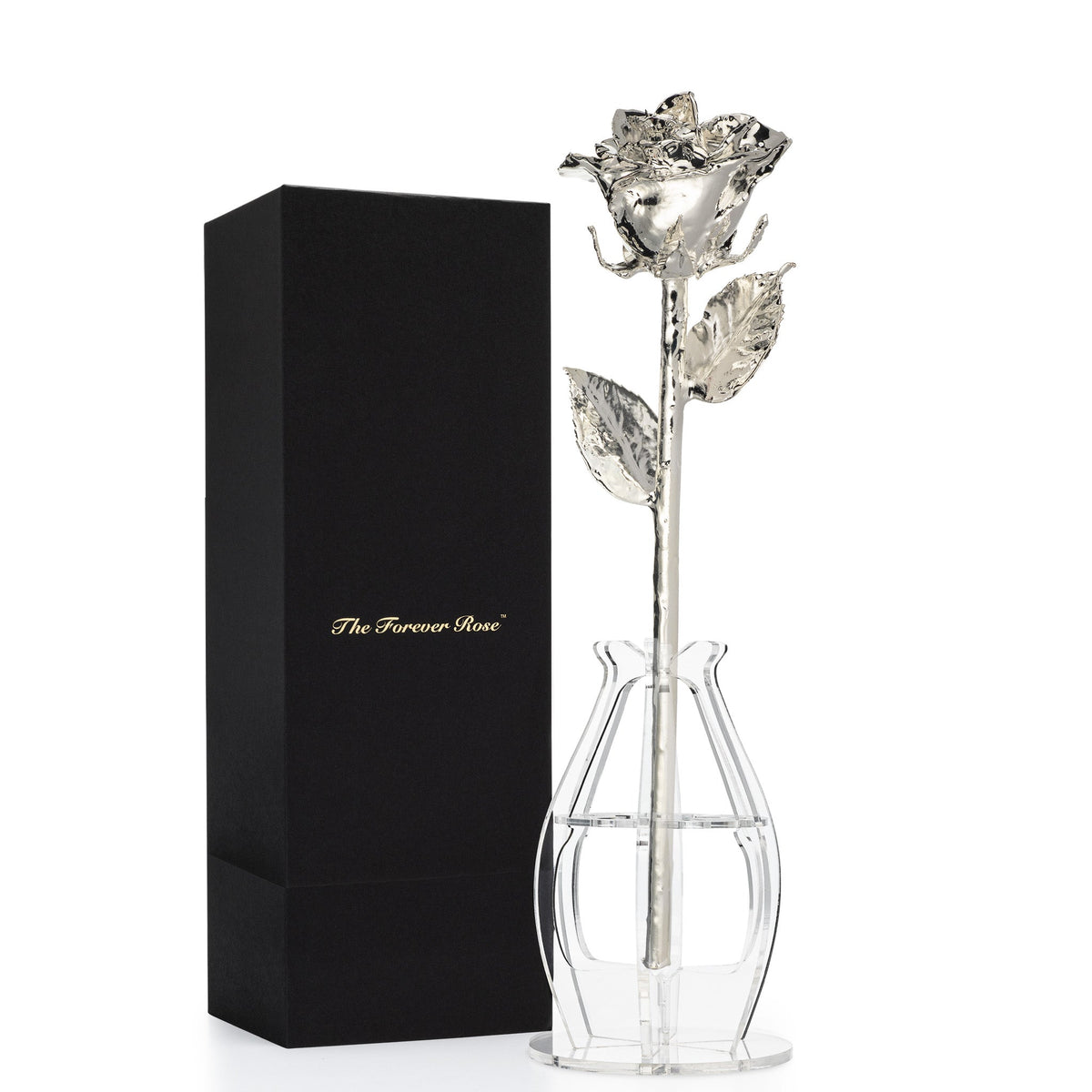 Silver Dipped Real Rose Gift Box