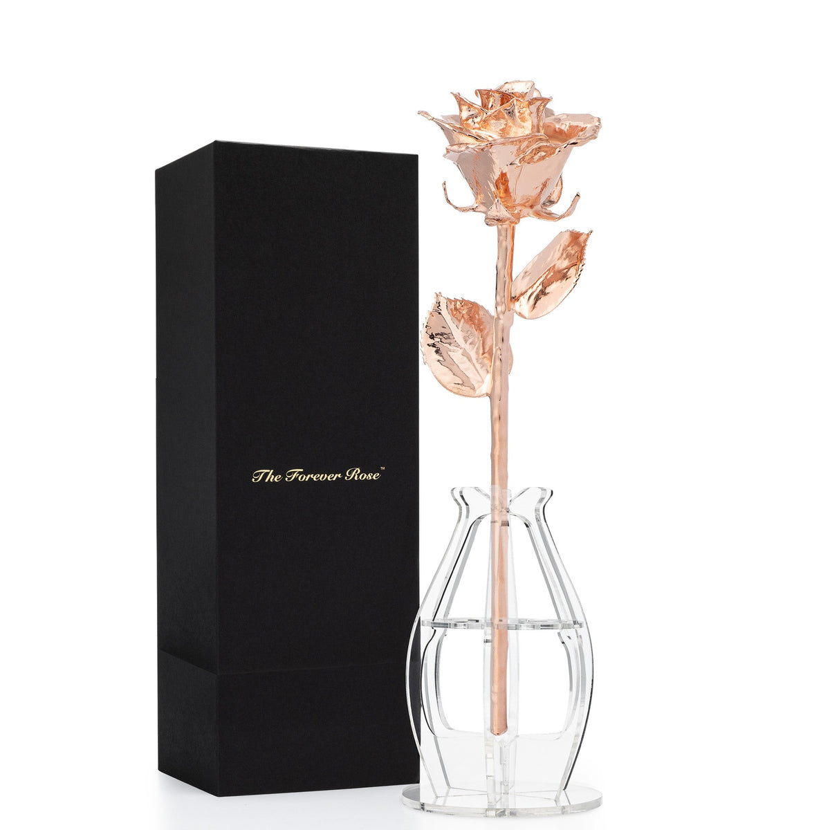 Rose Gold Dipped Real Rose Gift Box