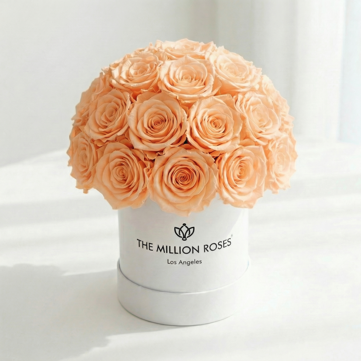 38-40 Peach Preserved Roses in White Dome Box