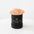 Single Peach Preserved Rose in Black Gift Box